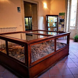 Visita al Museo di Diodoro Siculo